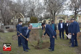 کاشت نهال توسط کارکنان بانک سپه در جوار گلزار شهدای بوستان مردم&nbsp; همدان