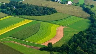 اخذ ۵ هزار فقره سند &zwnj;تک&zwnj; برگ برای اراضی دولتی خوزستان