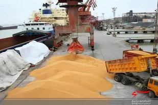 بیس از یک میلیون و ۳۲۶ هزار تن مبادلات مرزی محصولات کشاورزی از مرزهای رسمی سیستان وبلوچستان