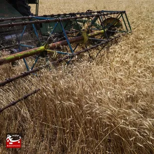 پرداخت تسهیلات مکانیزاسیون کشاورزی خوزستان شتاب می&zwnj;گیرد