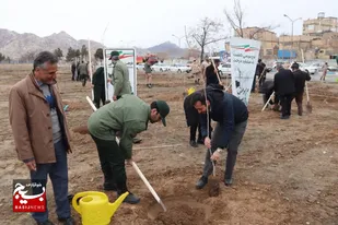غرس ۲ هزار اصله نهال در لشکر پنج نصر/ تاکنون بیش از ۲۵ هزار نهال در اماکن سپاه استان خراسان رضوی کاشته شده است+تصاویر