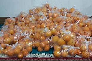 توزیع 160بسته میوه بین نیازمندان زاهدانی