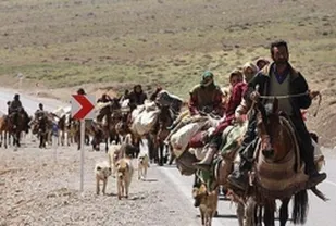 ۶۰ هزار نفر از جمعیت استان ایلام را عشایر تشکیل می دهند