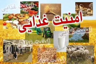 توسعه پایدار می&zwnj;تواند کمک&zwnj;حال امنیت غذایی کشور باشد