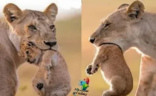 هرچیزی به زاویه دید و نوع نگاه شما بستگی دارد