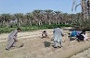 اردوی جهادی یک روزه در راستای کمک به کشاورزان روستای پیرسهراب چابهار