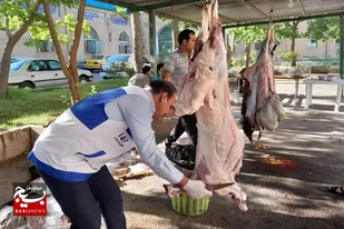 ارائه خدمات رایگان اداره دامپزشکی شهرستان نهاوند