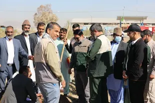 غرس نهال با همت جهادگران بسیجی در زاهدان