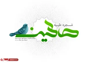طرح جوانه&zwnj;های صالحین در واقع ايجاد بستر سالم آموزشي است