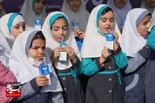نظارت بر توزیع شیر رایگان در مدارس اردبیل