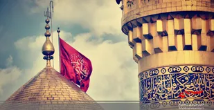 دلتــــنگ کربــــــلا بودیـــــــم، امســــــال دلـــــــــخون تر شـــــــــدیم