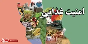 امنیت غذایی به معنای دسترسی پایدار همه افراد جامعه به غذای سالم، کافی و مغذی است