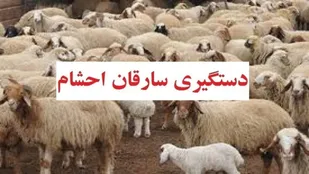 انهدام باند سه نفره سارقین احشام در بوشهر