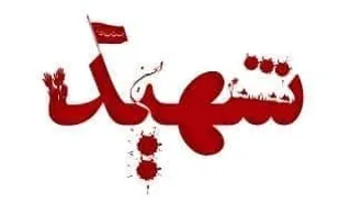 خواهرانم حجاب ارزنده&zwnj;ترین زینت شماست