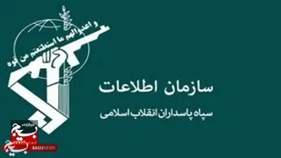دستگیری عوامل شبکه سازمان یافته سودجو نهادهای دامی&nbsp;در اردبیل
