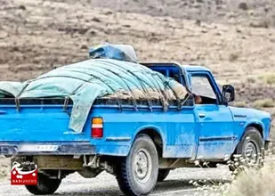 مجازات قاچاقچی سوخت در بوئین زهرا&nbsp;