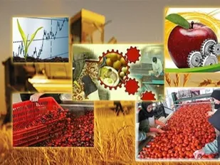صنایع تبدیلی و ظرفیت&zwnj;های محقق نشده در ایلام