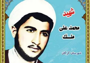 توزیع وصیت نامه سردار شهید محمد علی ملک بین زائرین کربلای ایران