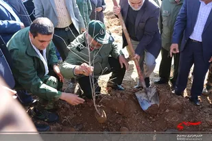 کاشت 3هزار اصله نهال در شهرستان کیار