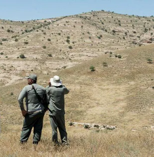 دستگیری شکارچیان خارجی متخلف در دشت اهواز