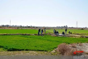 ٣۵ هزار هکتار از اراضی کشاورزی سیستان درنوبت دوم آبیاری، آبگیری شده اند