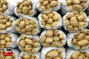 صادرات سیب&zwnj;زمینی به آذربایجان ضعیف است