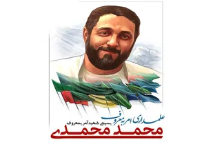 فیلم/ شاهدان عینی از شهادت محمد محمدی می&zwnj;گویند...