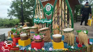 دومین جشنواره شکرانه برنج در بندر کیاشهر برگزارشد