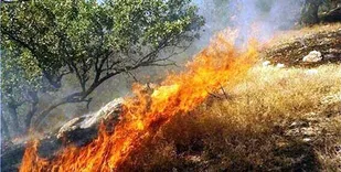 عاملان آتش &shy;سوزی کوه&zwnj;های بهمرد شهرستان دشتستان دستگیر شدند