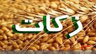 رشد بیش از ۳۵۷ درصدی جمع&zwnj;آوری زکات در خلیل&zwnj;آباد