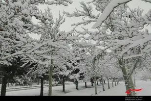 صبح زیبای برفی در ملایر