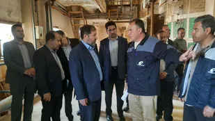 ۵ واحد صنعتی تعطیل&zwnj;شده در ایلام به چرخه تولید بازگشتند