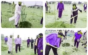 کاشت نهال به یاد شهدا در سپاه ناحیه پیشوا