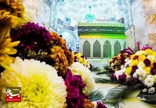 حرم حضرت معصومه(س) با ۵۰ هزار شاخه گل طبیعی گل&zwnj;آرایی می&zwnj;شود
