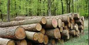 آفتی به نام نظرسنجی در فضای مجازی