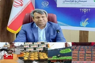 سیستان وبلوچستان فرصت بی بدیل در کشور برای مبادلات مرزی محصولات کشاورزی است