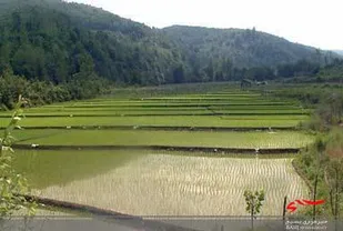 تجهیزحدود ۴۹ هزار هکتار از اراضی کشاورزی سیستان و بلوچستان به سیستم های نوین آبیاری