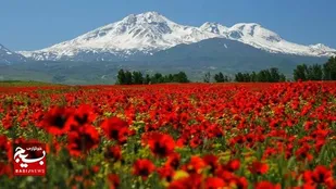 سبلان ثبت جهانی می&zwnj;شود