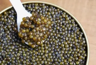 استحصال خاویار برای اولین بار در آذربایجان شرقی