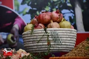برگزاری جشنواره شکرانه برداشت انار در اندیمشک