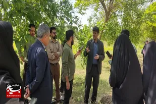 کمبود ظرفیت مراتع در شهرستان ملایر و چرای بی&zwnj;رویه