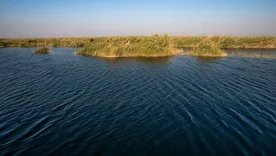 ضرورت تامین حق آبه هورالعظیم