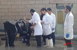 توسعه فعالیت &laquo;قرارگاه&zwnj;های خدمت&raquo; در سراسر کشور/ چشم&zwnj;انداز ما حذف بیماری&zwnj;های موجود در دام و طیور است