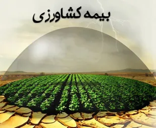 پوشش بیمه&zwnj;ای، سپر دفاعی کشاورزان خوزستان در برابر تغییرات اقلیمی