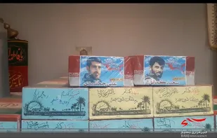 آلاله&zwnj;های سرخ راهی حرم شدند + فیلم