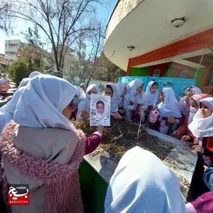کاشت نهال به یاد شهدای زن خراسان&zwnj; جنوبی در دبستان شاهد دخترانه شهیده "معصومه محمودی" در بیرجند