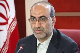 پیش بینی خرید و ذخیره ۱۷۰ هزار تن گندم مازاد بر مصرف در استان