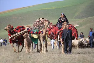 نخستین جشنواره بازگشت عشایر از ییلاق به قشلاق در مغان برگزار می&zwnj;شود