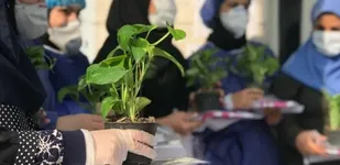 تقدیر از کادر درمانی مرکز بهداشت شهید سهراب علی بخش شهریار