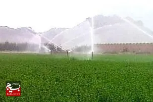 ۶ هزار هکتار سیستم های نوین آبیاری نوین در شهرستان خاش اجرا شده است